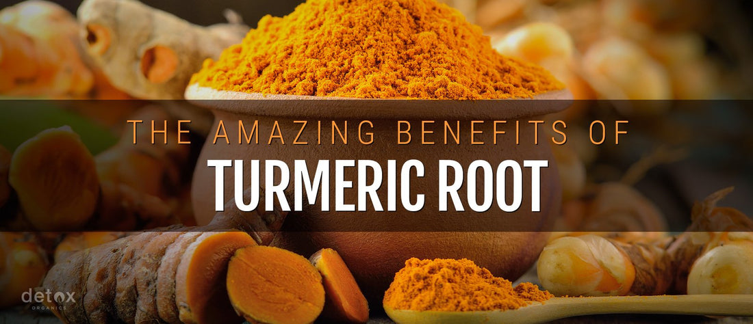 Benefits of Turmeric Root