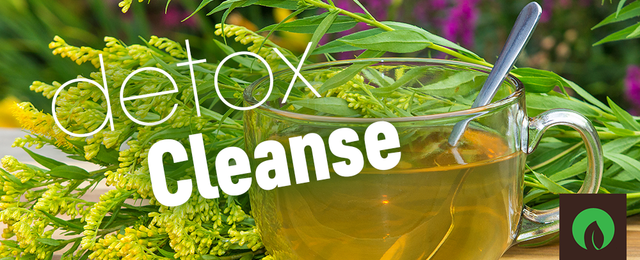 Detox Cleanse: The Best and Worst Detox and Cleansing Products on the Market