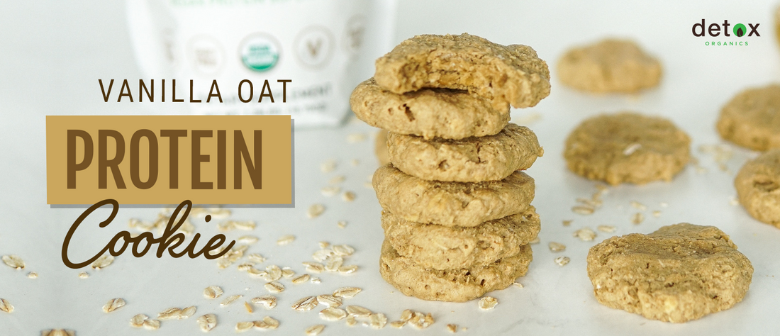 Vanilla Oatmeal Protein Cookie Header Image